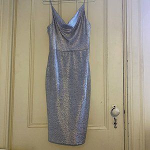 Donating soon: Adrianna Papell Silver Cowl Neck Dress